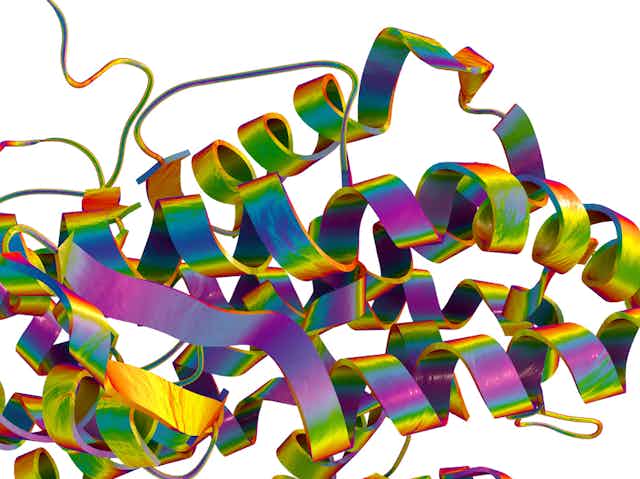 An illustration of ACE2 receptor protein structure shows multicolored spirals intertwined with tendrils.