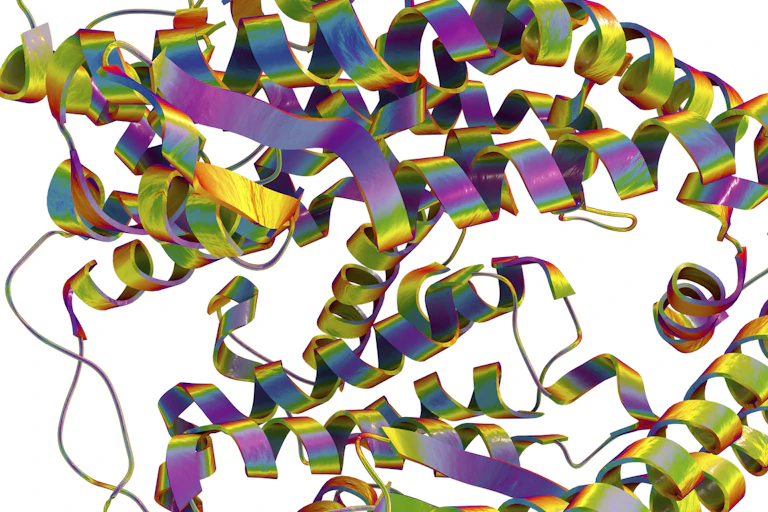 An illustration of ACE2 receptor protein structure shows multicolored spirals intertwined with tendrils.