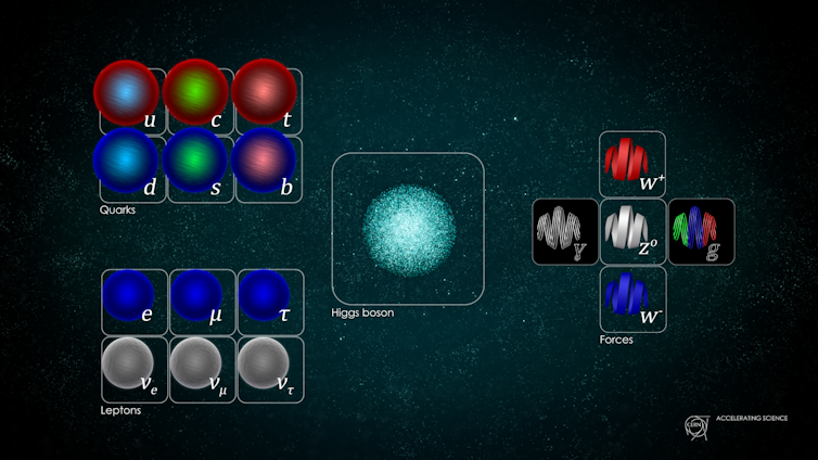 A chart showing the particles of the Standard Model.