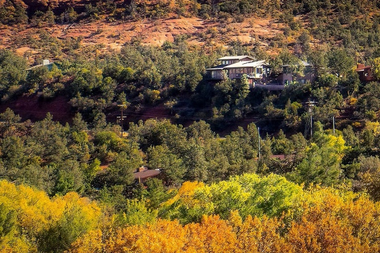 A view of homes in the distance, looking across yellow treetops