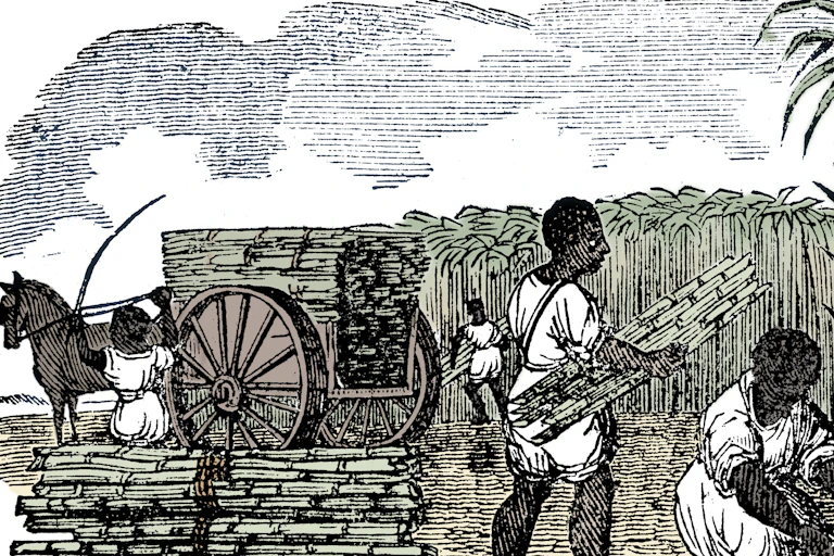 Enslaved people harvesting sugar cane in Louisiana, in 1833.