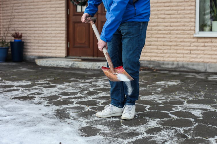 A man in blue jeans and a blue shirt sprinkles salt on the snow-covered ground with a shovel.