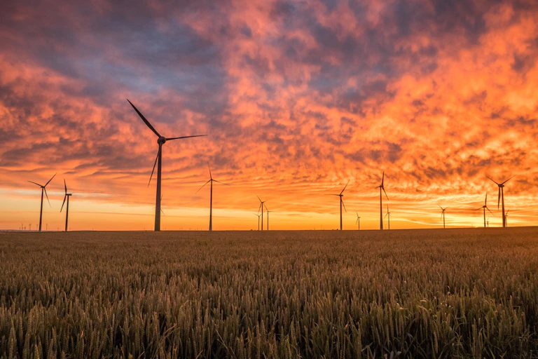 Eoliennes dans un champ de blé, au couche du soleil