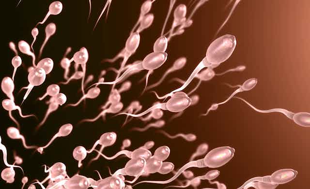 a 3D illustration of sperm swimming toward the right