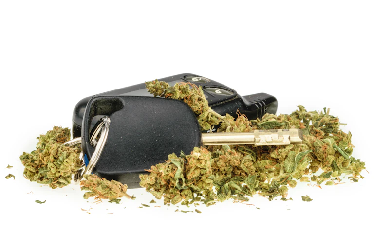 Car keys surrounded by dried cannabis