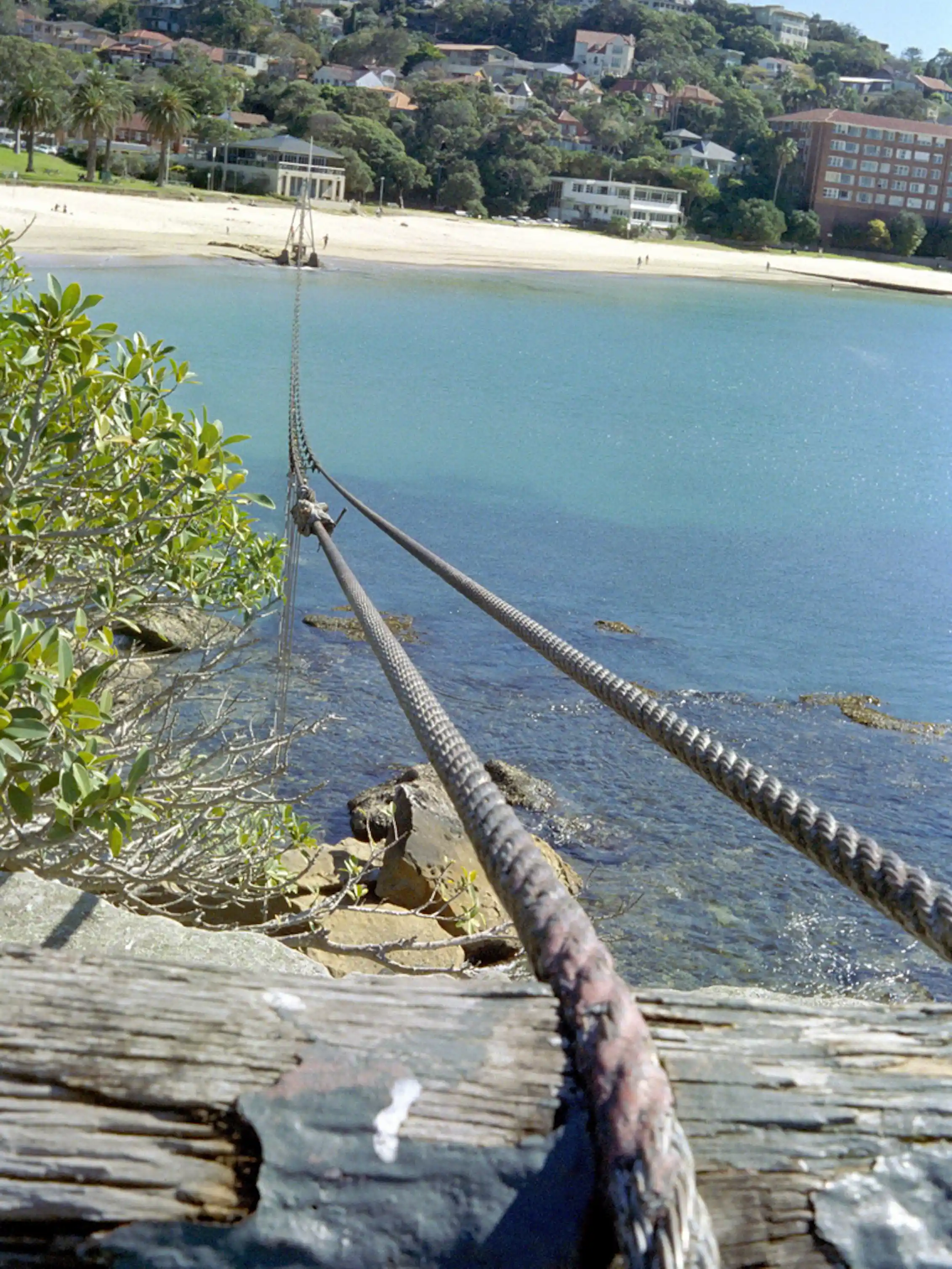 Shark Net Rope Access The untold story of shark nets in Australia