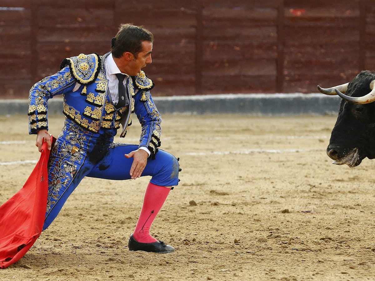 Madrid Bullfight Schedule 2022 Coronavirus And Culture Wars: Spain's Bullfighting Industry Faces A Crunch  Point In 2022