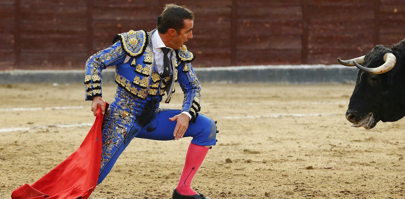Coronavirus and culture wars: Spain's bullfighting industry faces a Coronavirus and culture wars: Spain's bullfighting industry faces a