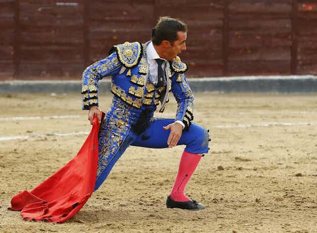 A matador kneels with a red flag during a bullfight.