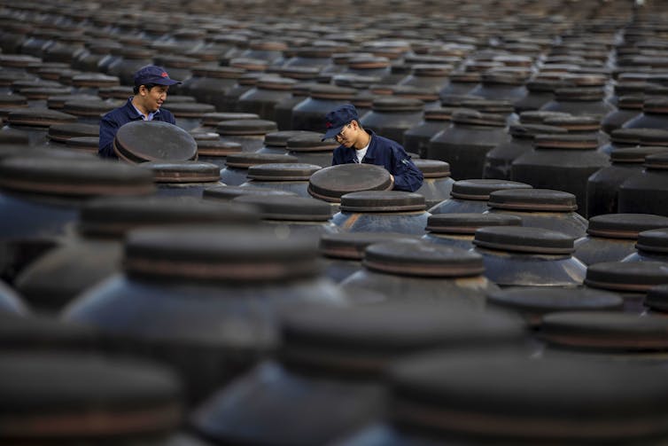 Two Chinese factory workers checking vinegar barrels