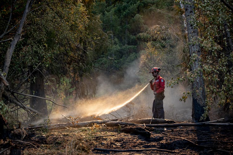 A firefighter points a water hose at a smoking spot on the ground.