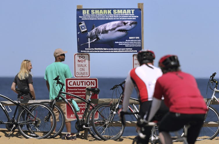 Cyclists in front of a shark warning sign at a beach in Wellfleet, Mass.