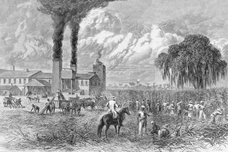 Engraving of workers cutting cane, supervised by overseer on horseback