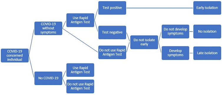 A decision tree showing possible outcomes with using, or not using, rapid antigen tests