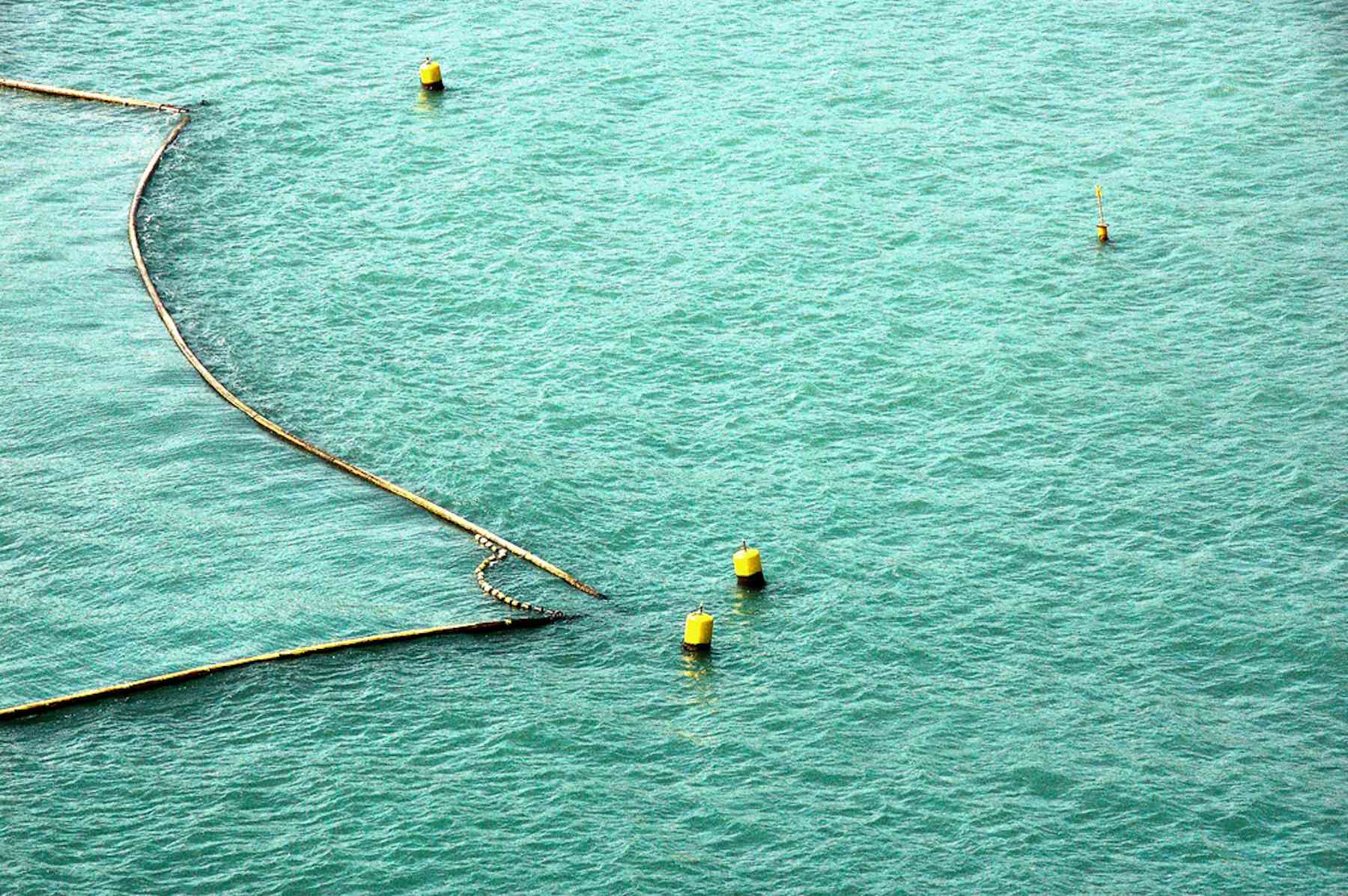 The untold story of shark nets in Australia