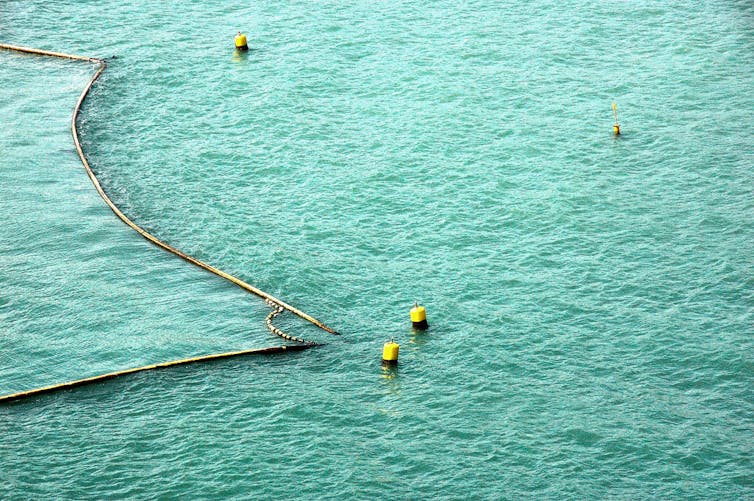 The Untold Story Of Shark Nets In Australia