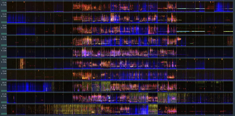 Spectrograms of audio showing the patterns and variation of activity across 10 days