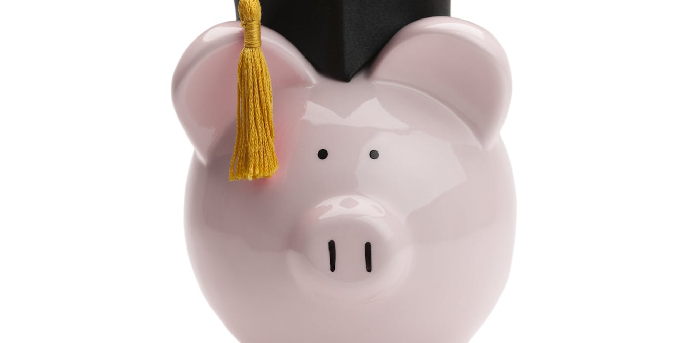 New breed of postgraduate loans could help plug phd gap