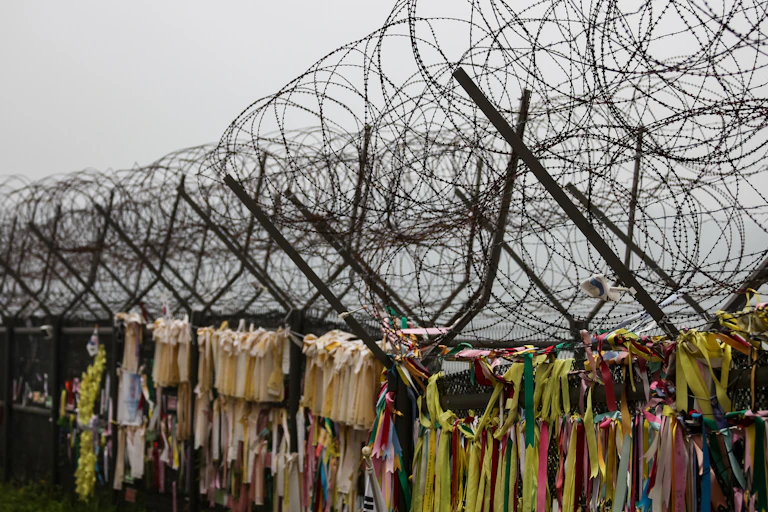 Ribbons tied to a barbed wire fence.