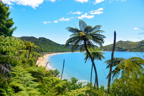 New Zealand summers are getting hotter – and humans aren’t the only ones feeling the effects