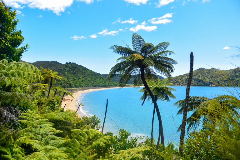 Beach, sea and native bush