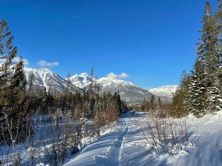 A snowy trail amid mountains.