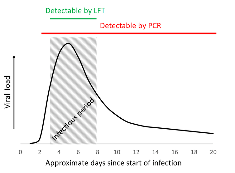 Graph showing what stages of a COVID infection PCR tests and LFTs give positive results