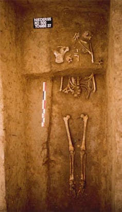 Bones in a reopened grave.