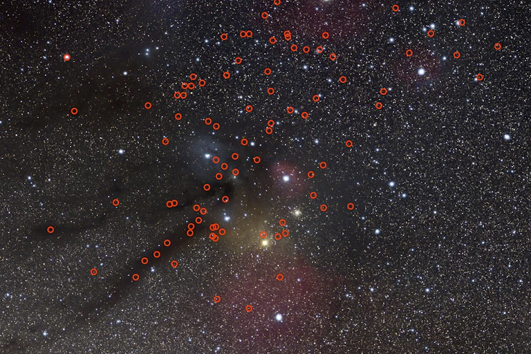 Telescope image of a cluster of stars, with red circles overlaid indicating the location of possible planets.