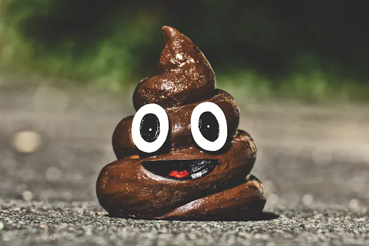 A figurine of the poo emoji