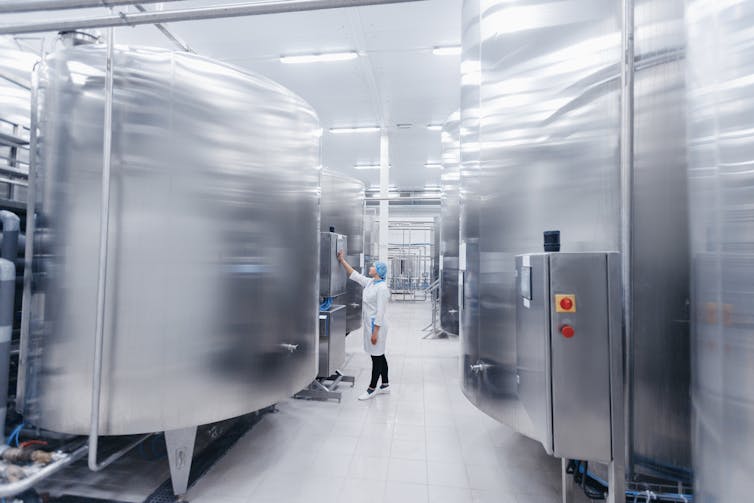 A worker walks between large stainless steel tanks in an industrial food site.