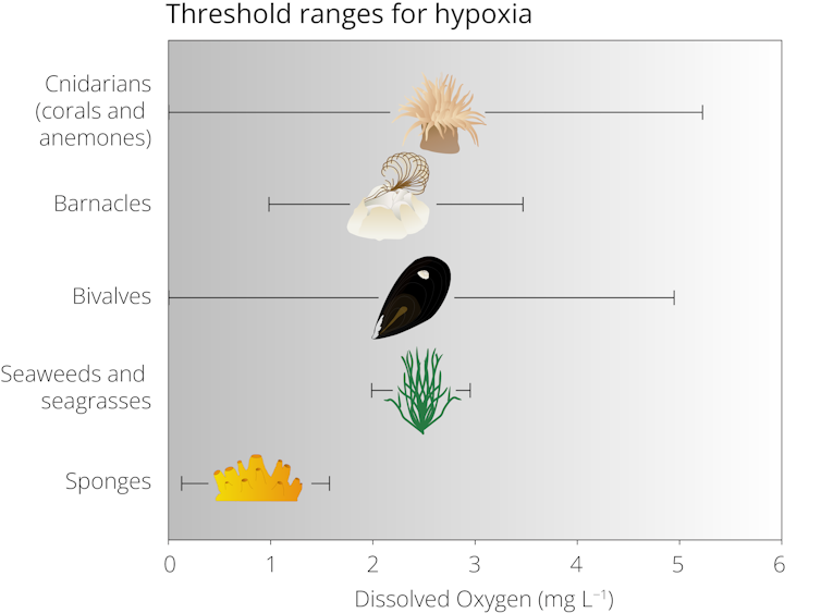 This graph shows different marine organisms that live permanently attached to the seafloor and their different thresholds for low-oxygen conditions.