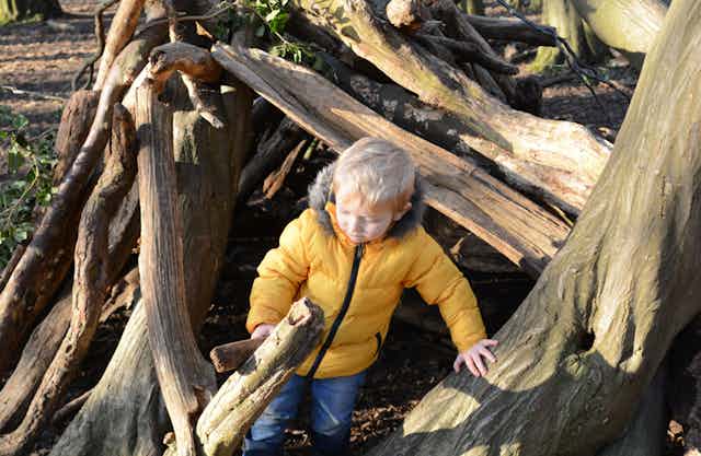 Un niño juega en un bosque. 
