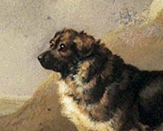 A painting of a Newfoundland dog.