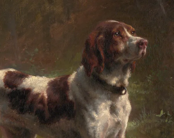 Perversely Example The movie ‘Finch’ explores how dogs help us define humanity
