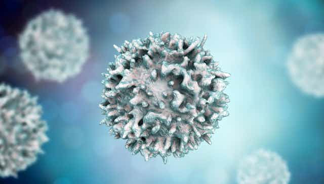 Illustration of a white blood cell