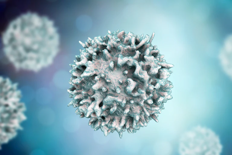 Illustration of a white blood cell