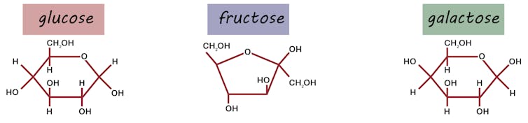 diagramas moleculares para glicose, frutose e galactose
