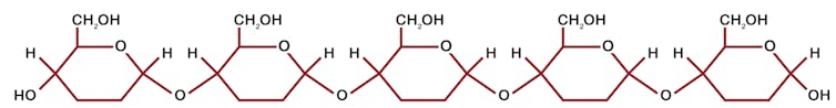 molecular diagram of chain of glucoses together