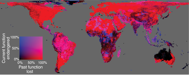 Map showing regions where climate-tracking seed dispersal has declined most sharply.
