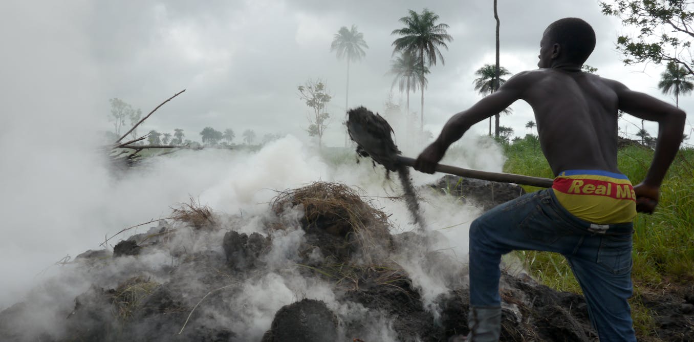 Deforestation is causing more storms in west Africa, finds 30-year satellite study