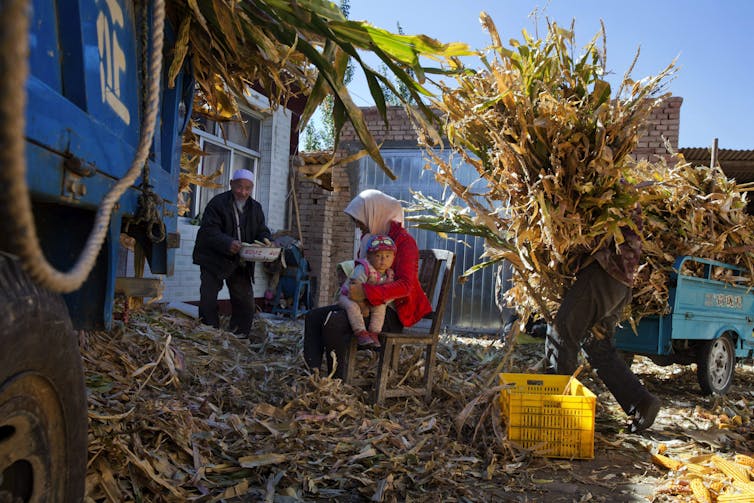 A woman sits outside a small brick house in a chair with a toddler on her lap, while a man walks towards her carrying a bowl of corn, and another walks past her carrying tall stalks of corn.