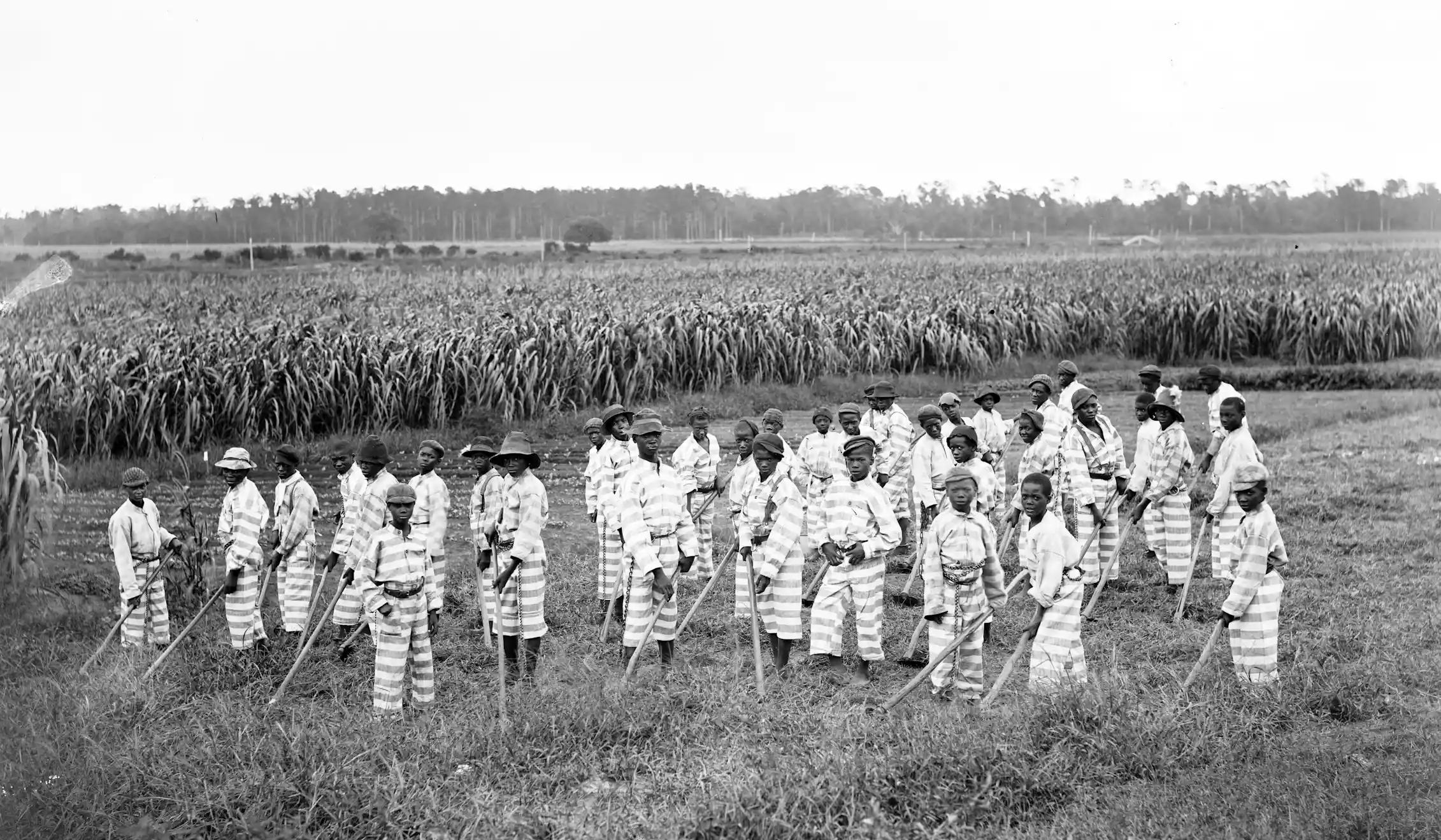 The 13th Amendment s Fatal Flaw Created Modern day Convict Slavery the-13th-amendment-s-fatal-flaw-created-modern-day-convict-slavery