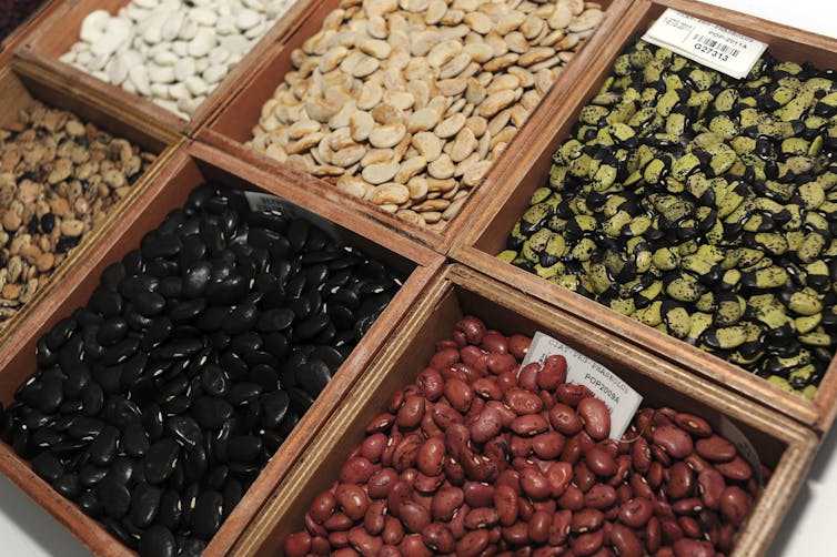 Wooden boxes containing different coloured dried beans.