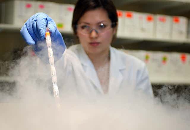 A lab technician puts sperm vials into liquid nitrogen storage tanks.