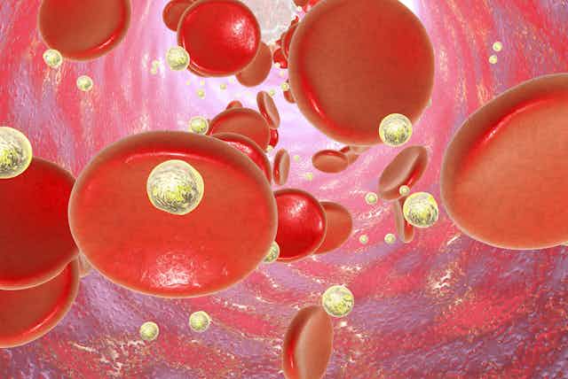 Nanoparticules dans le sang, illustration 3D. Image conceptuelle illustrant le traitement et le diagnostic des nanoparticules