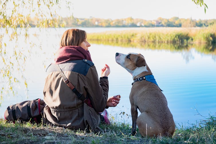 a woman talks to her dog while they're sitting beside a lake