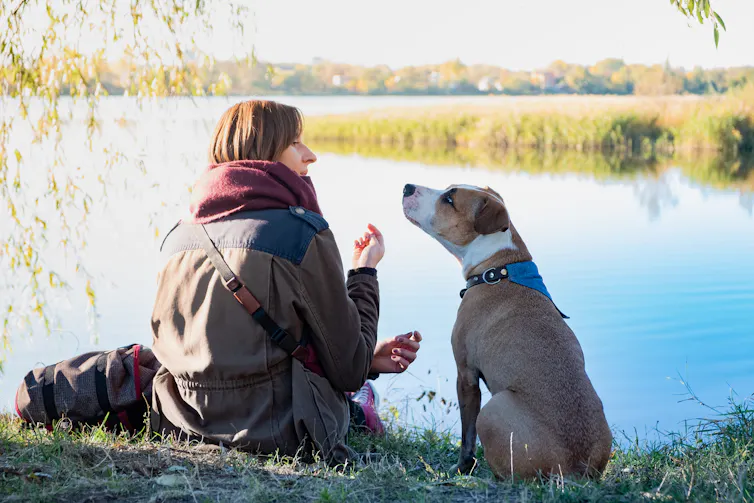 Une femme parle à son chien alors qu’elles sont assises au bord d’un lac
