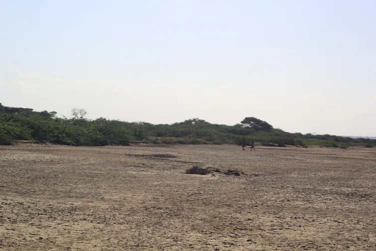 A dry watercourse with shrub lining the shore.