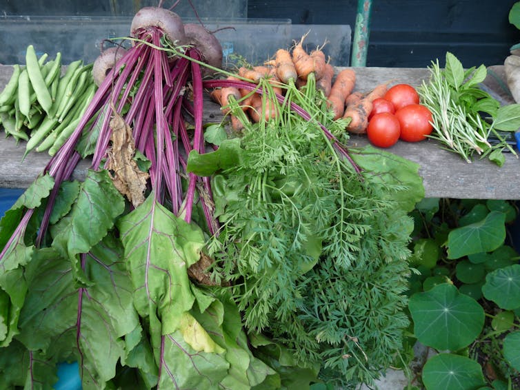 An array of root vegetables